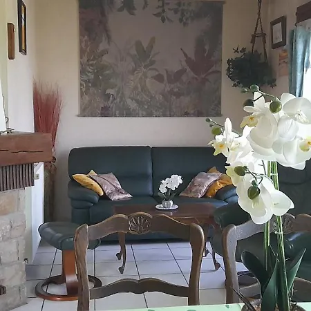Maison Avec Jardin Villa *